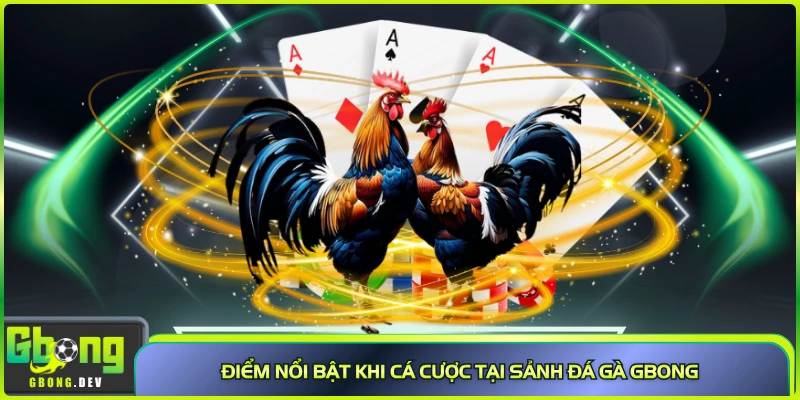Điểm nổi bật khi cá cược tại sảnh đá gà Gbong Điểm nổi bật khi cá cược tại sảnh đá gà Gbong