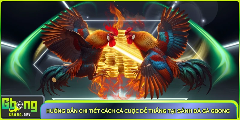 Hướng dẫn chi tiết cách cá cược dễ thắng tại sảnh đá gà Gbong Hướng dẫn chi tiết cách cá cược dễ thắng tại sảnh đá gà Gbong