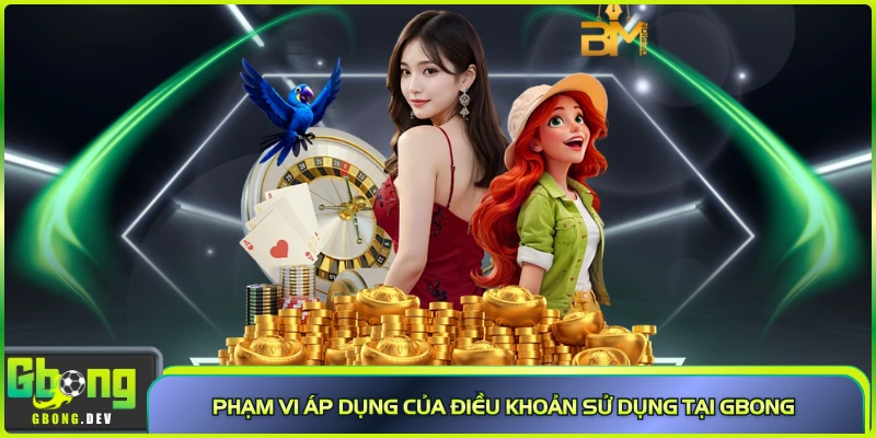 Phạm vi áp dụng của điều khoản sử dụng tại Gbong