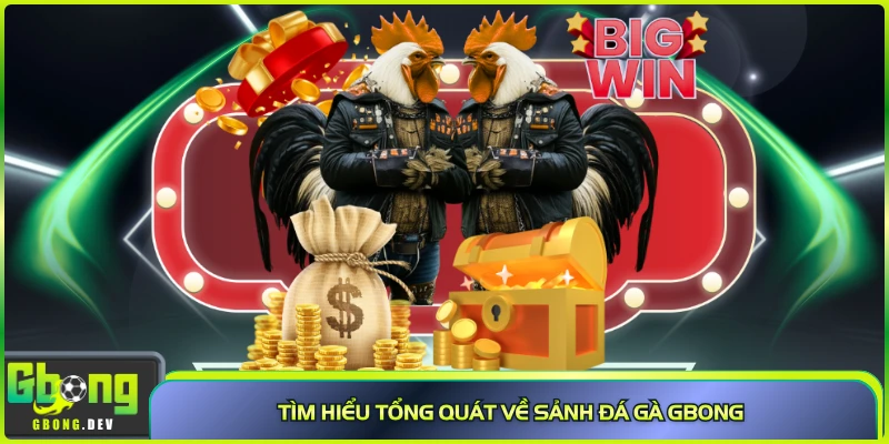 Tìm hiểu tổng quát về sảnh đá gà Gbong Tìm hiểu tổng quát về sảnh đá gà Gbong